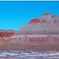 Petrified Forest Field Institute: Exploring an... event in Arizona
