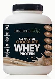 Naturestwig All Natural Chocolate Whey Protein 16 Oz Nat Sweetened With Xylitol And Stevia Natural Chocolate Diabetic Drinks