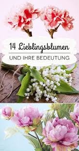 Sag S Durch Die Blume Die Bedeutung Von Nelken Rosen Co Blumen Fur Garten Nelken Blumen Nelke Hochzeit