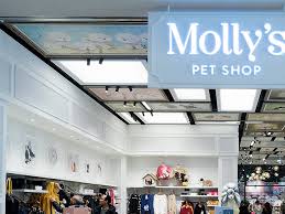 Boston massachusetts pet store listings. Molly S Pet Shop Shopping In Seoul