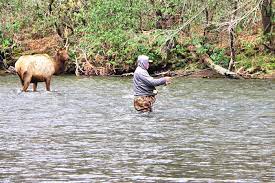 Fly Fishing In Asheville Nc Mountains