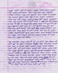 If you are planning to visit nepal, volunteering in nepal? Nepali Essay Writing