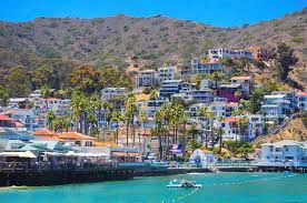 The price is $24 per night from oct 25 to oct 26 situated in santa catalina, this beach hotel is within 6 mi (10 km) of plaza salcedo, st. Santa Catalina Island Photograph By Art Spectrum