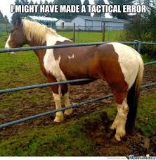 Image result for memes horse