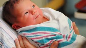 Bird flu cat food recall: Northwest Naturals linked to contamination