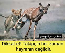 Mehmet Ozbay Adli Kullanicinin Instagram Engelli Issiz Adam Panosundaki Pin Ayi Instagram