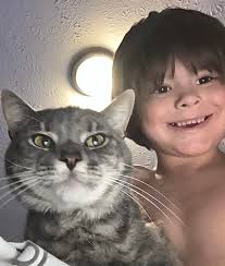 Missing grey and black tabby cat named Digby