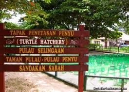 Bornean sun bear conservation centre. Intanfarhana Com Tempat Menarik Sandakan