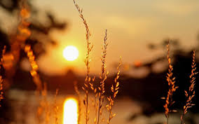 Though issues with blurry desktop backgrounds can sometimes be caused by errors with a computer's graphics card, most often the problem can be solved by using one of a few there are a number of reasons why an image may appear blurry when applied to the background of a desktop. Blurry Desktop Wallpaper 72 Images