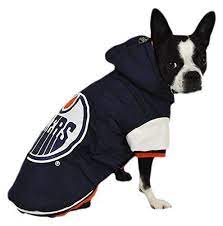 Hunter Nhl Hapj0408 Edmonton Oilers Varsity Jacket For Cats To View Further Visit Now Cat Sweater Cat Sweaters Cat Care Cats