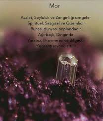 Sehriban Adli Kullanicinin Davranis Yonetimi Panosundaki Pin Bilgelik Alintilari Psikoloji Psikolojik Gercekler