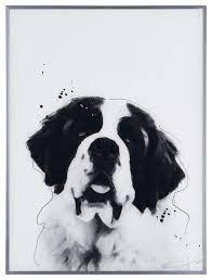 The saint bernard we know today is the result of centuries of breeding at the hospice and the surrounding areas. Saint Bernard Black And White Dog Wall Art With Gunmetal Anodized Frame Contemporary Prints And Posters By Empire Art Direct Houzz