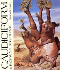 Image result for Acanthosicyos naudinianus