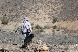 Por el mostrador 27 enero, 2021. Los Primeros Desplazados Por Cambio Climatico En Chile Monte Patria