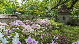 Maybe you would like to learn more about one of these? Landscape Design To Maximize Your Yard S Sun And Shade Areas