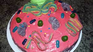 Collection by shannon brown • last updated 7 weeks ago. How To Make An Animal Cell Cake Delishably