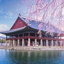 In korea, the working holiday program is available to 25 countries, so make sure that your country is featured on the following list before applying. International Internship In South Korea Aip