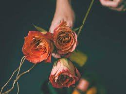 Check spelling or type a new query. Grief Without Denial 6 Healthy Ways To Accept Death