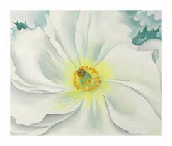 The art prints on this page are some of the very best works by artist o'keeffe with a full list available. White Flower 1929 By Georgia O Keeffe Paper And Canvas Print Georgia O Keeffe Museum Custom Prints Store
