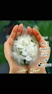 بـــاقة ورود تصــــافـح الـعــــابــريــن و تـرحـل في حـقــول القــلـــوب البيـضـــاء تــرتـــدي حـــل ــة الـبـهــ floral rings engagement rings floral