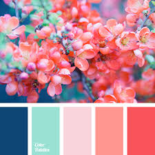 Color Palette 2856 Color Schemes Colour Palettes Color Schemes Color Palette