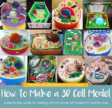 Check spelling or type a new query. How To Create 3d Plant Cell And Animal Cell Models For Science Class Owlcation