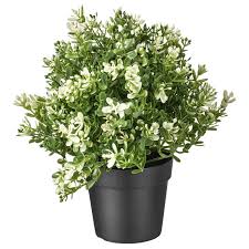 With faux outdoor flowers, you don't have to worry about putting water on the cactus or asking a neighbor to take care of your orchids while you travel. Fejka Artificial Potted Plant Thyme 3 Our Best Price Ikea