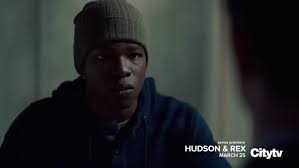 Hudson & Rex