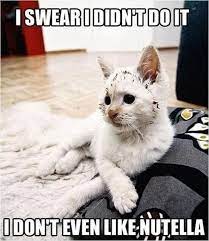Piktureplanet Com Nbspthis Website Is For Sale Resources And Information Funny Cat Photos Funny Cat Pictures Funny Animals