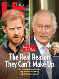 King Charles Is Torn Between Prince Harry and Queen Camilla: 'Harbors a Lot  of Anger'