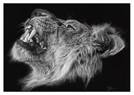 Check spelling or type a new query. The Lion Sold Hyper Realistic Pencil Drawing Drawing By Prabath Zoysa