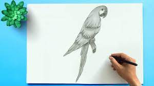 Pin On Pencil Sketch