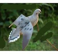Assault Dove – ureaduckdecoys