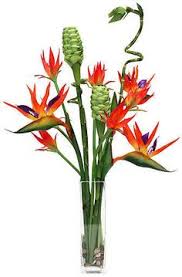 Explore menu, see photos and read 521 reviews: 280 Tropical Ideas Tropical Flower Arrangements Tropical Floral Arrangements Flower Arrangements