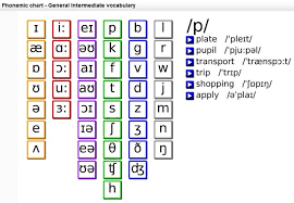 The international phonetic alphabet (ipa) is an academic standard created by the international phonetic association. English Exercises Phonetics Practice Phonetic Alphabet Phonetic Chart Alphabet Charts