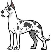Great Dane Dog Drawing Great Dane Cartoon Dog