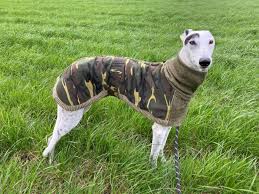 We did not find results for: Camo Knit Coat For Whippets
