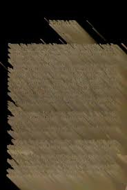 Image result for Triumfetta setulosa