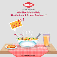 Orkin average cost rates align with pest problems that are either merely cosmetic or so severe that multiple visits and prolonged preventative measures are when all is said and done, the great thing about hiring orkin is the peace of mind that comes from knowing that the problem is under control. Orkin Egypt Pest Control Home Facebook