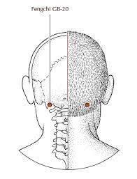 5 Acupressure Points For Immune Support Balance Acupuncture Charleston Sc