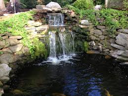 A backyard waterfall is something that would add a wow factor to any estate. Backyard Pond Design Koi Pond Designs Waterfall Design Pond Contractors