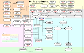 Chart Of Milk Products And Production Relationships