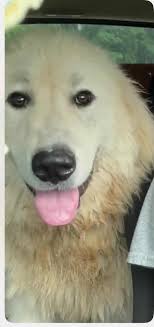 Ky and London have fines for homeless camps