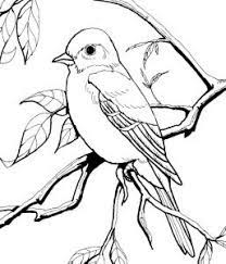 freebie burgess bird and animal book images coloring pages recherche de coloration d&#x00027;hiver