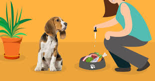 Apr 15, 2021 · best cbd oil for dogs & cats, cbd dog chews, cbd pet topicals, and hemp pellets. Cbd Oil For Anxiety Can It Calm Your Anxious Dog Dogs Naturally