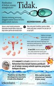 Infografik Kehamilan Di Kolam Renang Di 2020 Kolam Kolam Renang Pendidikan Anak Usia Dini