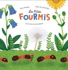 .a) cousine b) oncle c) tante 7) nous avons un. Les P Tites Fourmis La Vie Dans La Fourmiliere Fleur Daugey Chloe Du Colombier Ricochet Grand Format Le Hall Du Livre Nancy