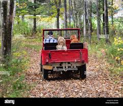 Image result for Buckeye Red 1942 Willys