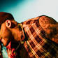 Ryan Jesse