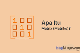 • contoh jadual klasifikasi dua hala Matrix Matrices Adalah Pengertian Sejarah Tujuan Jenis Contohnya